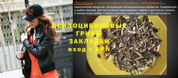 дживик Алексин