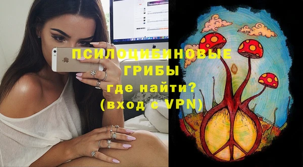 mix Алексеевка