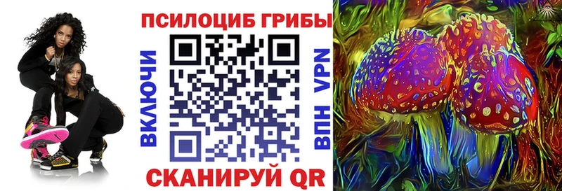 закладка  Фролово  Псилоцибиновые грибы MAGIC MUSHROOMS 