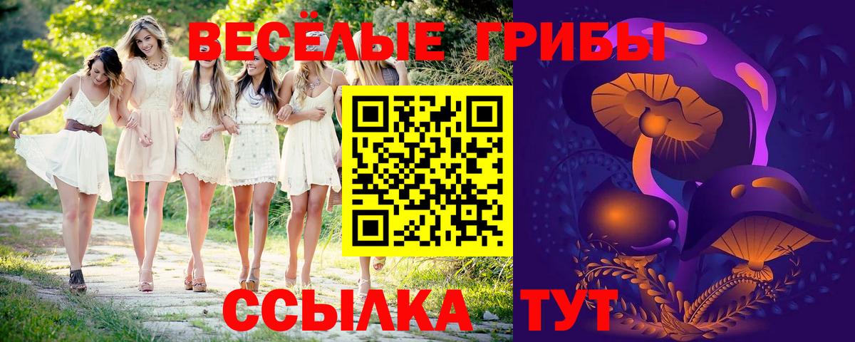 Мефедрон   Гашиш  A PVP СОЛЬ кристаллы  Фролово  ГАШИШ  Вход с VPN  КОКАИН  Бошки Шишки  Метамфетамин 