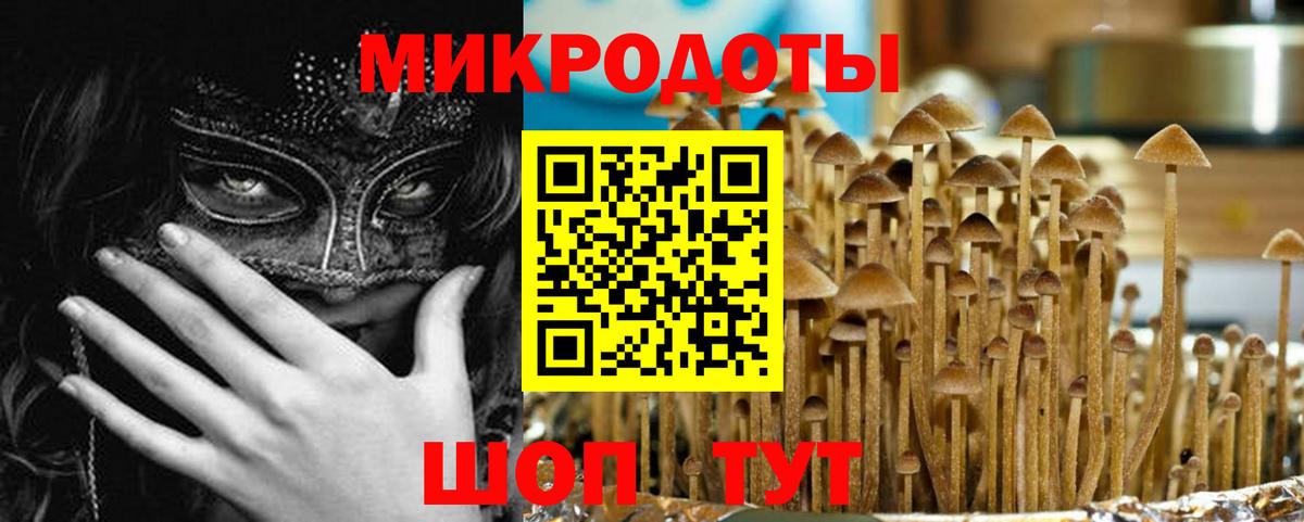 Галлюциногенные грибы MAGIC MUSHROOMS Фролово