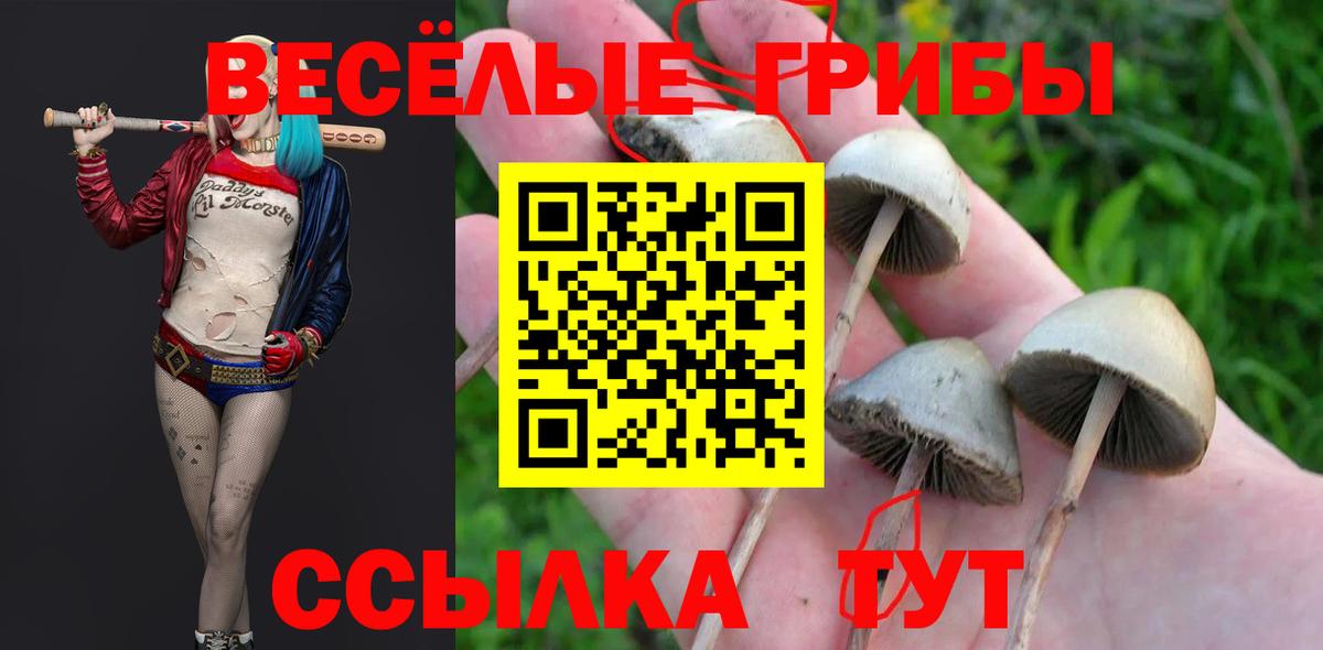 Фролово  Галлюциногенные грибы GOLDEN TEACHER  Псилоцибиновые грибы Psilocybe  Вход с VPN 